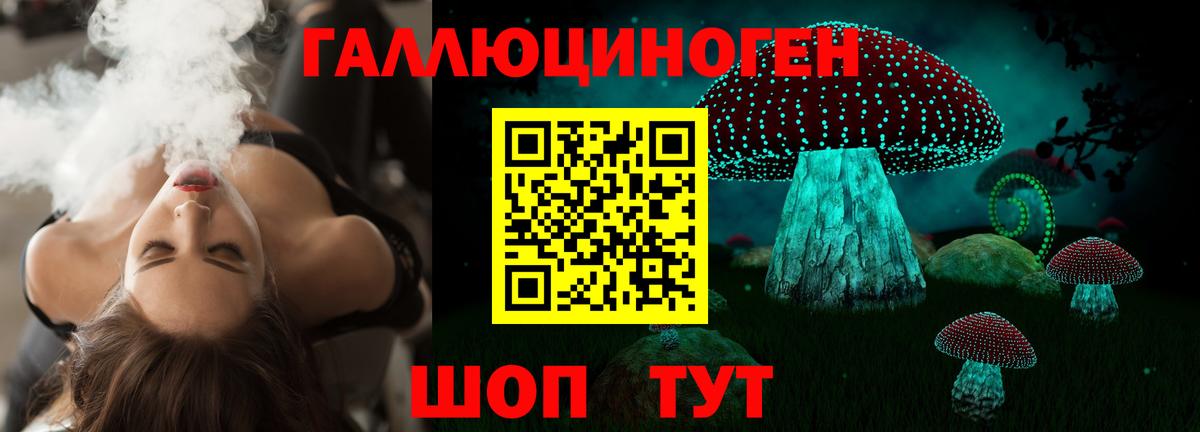 Псилоцибиновые грибы MAGIC MUSHROOMS Балахна